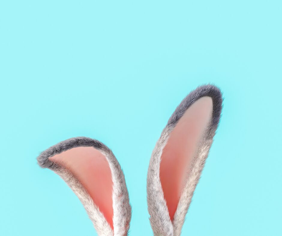 EARS.jpg